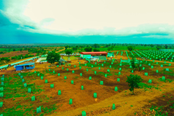  Agricultural Land for Sale in Sadasivpet, Sangareddy