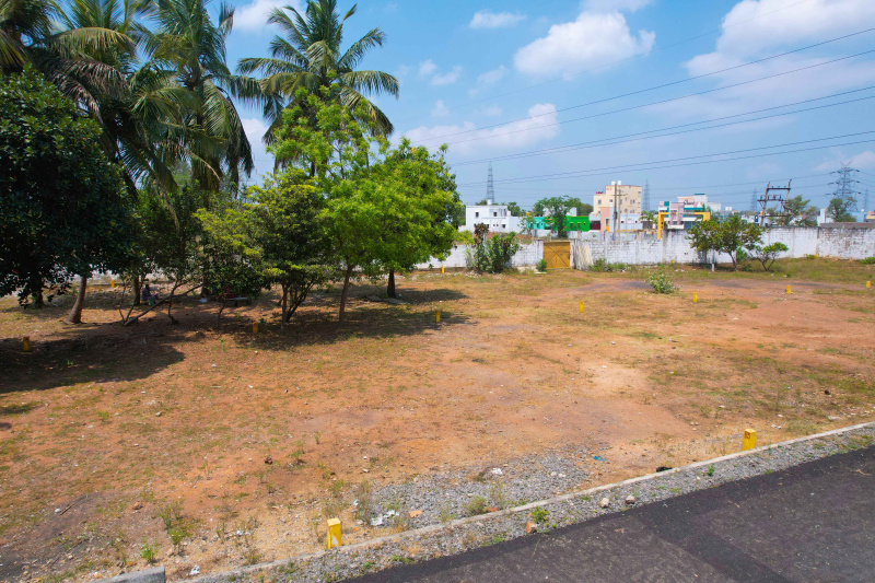  Residential Plot 911 Sq.ft. for Sale in Guduvancheri, Chennai