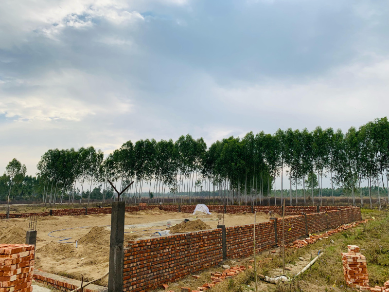  Residential Plot 107712 Sq. Yards for Sale in Biharigarh, Dehradun