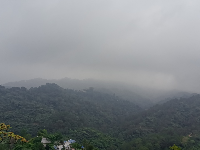  Residential Plot 2 Bigha for Sale in Morni Hills, Panchkula