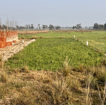  Residential Plot for Sale in Bihta, Patna