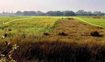  Agricultural Land for Sale in Bihta, Patna