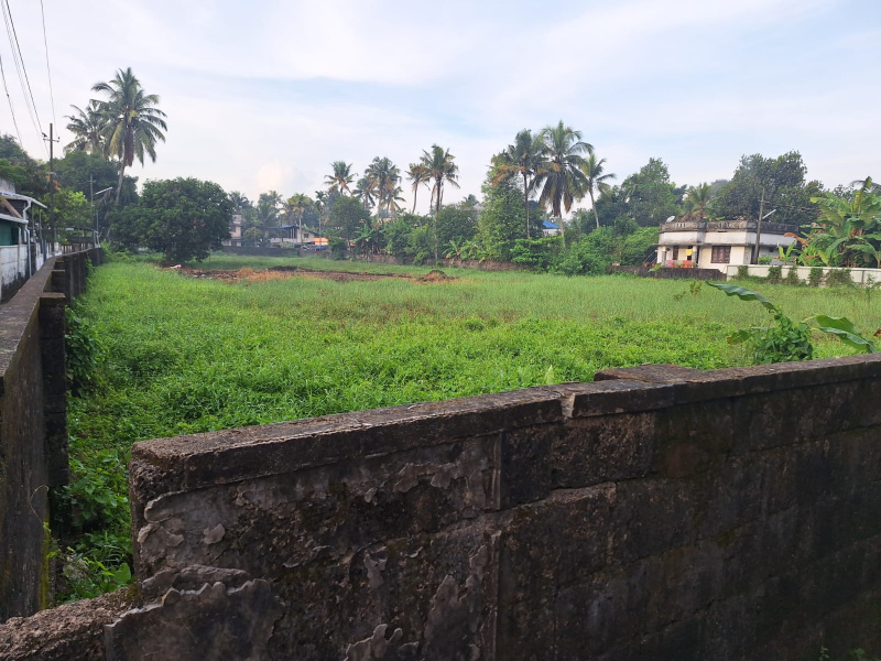  Residential Plot 42 Cent for Sale in Aluva, Ernakulam