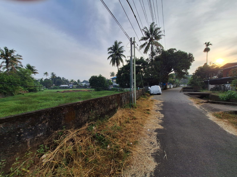  Residential Plot 42 Cent for Sale in Aluva, Ernakulam