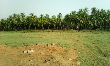  Agricultural Land for Sale in Shiroda, Goa