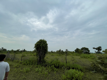  Agricultural Land for Rent in Butibori, Nagpur