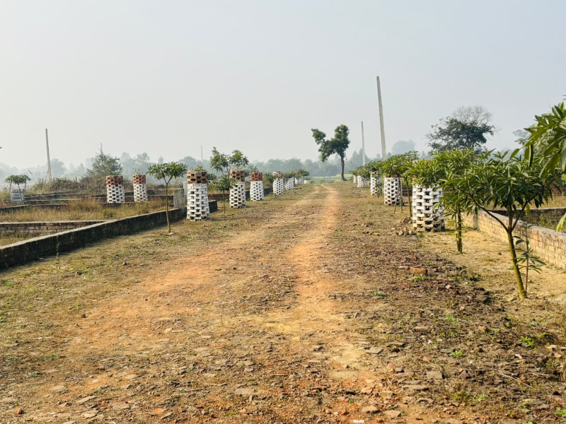  1250 Sq.ft. Residential Plot for Sale in Gangaganj, Lucknow