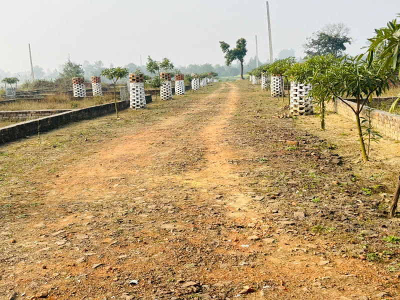  1250 Sq.ft. Residential Plot for Sale in Gangaganj, Lucknow