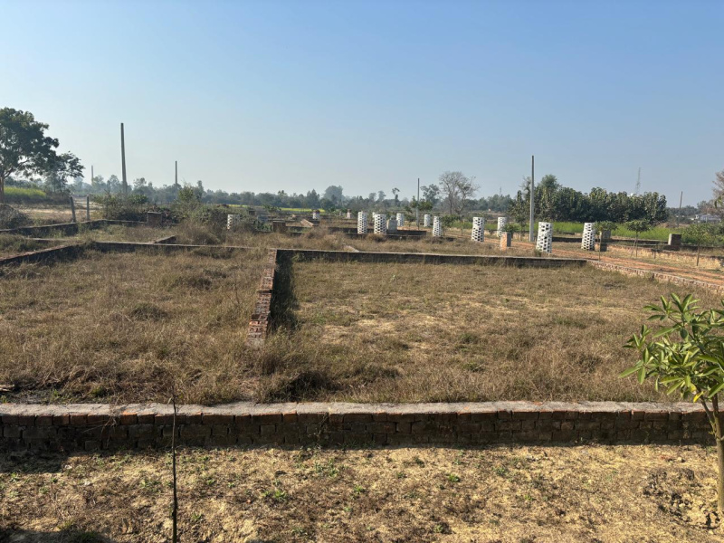  2500 Sq.ft. Residential Plot for Sale in Gangaganj, Lucknow