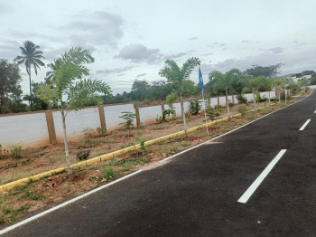  Residential Plot for Sale in Kottur, Coimbatore