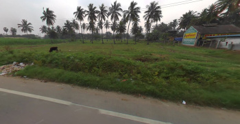  Agricultural Land for Sale in Gudiyatham, Vellore