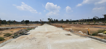  Residential Plot for Sale in Anekal Road, Bangalore