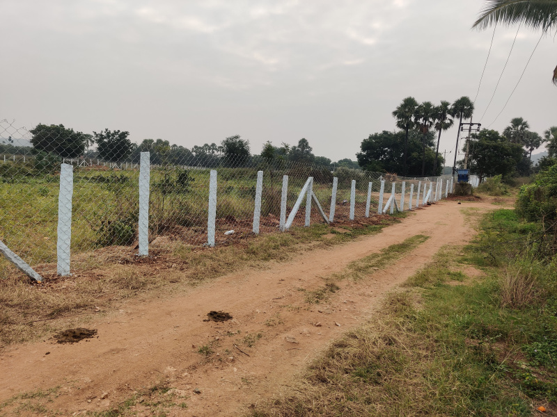  Agricultural Land 17 Acre for Sale in Chityal, Nalgonda