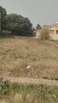  Residential Plot for Sale in Civil Line, Sultanpur