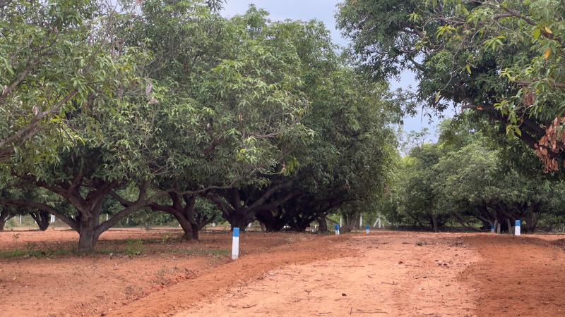  Agricultural Land 1 Cent for Sale in Alagar Kovil Road, Madurai