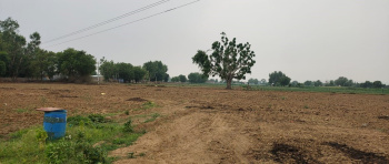  Residential Plot for Sale in Kharkhoda, Sonipat