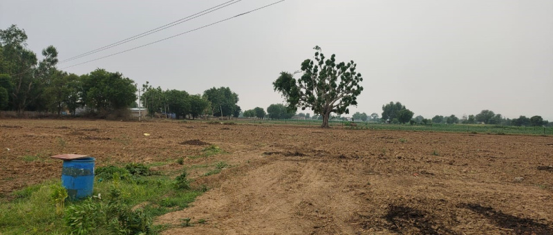  Residential Plot 120 Sq. Yards for Sale in Kharkhoda, Sonipat