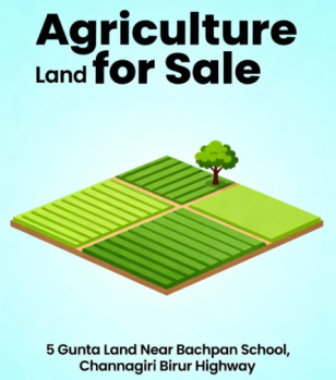  Agricultural Land for Sale in Channagiri, Davanagere