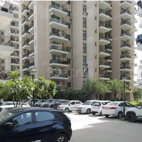 2 BHK Apartment 700 Sq.ft. for Rent in Sector 71 Gurgaon