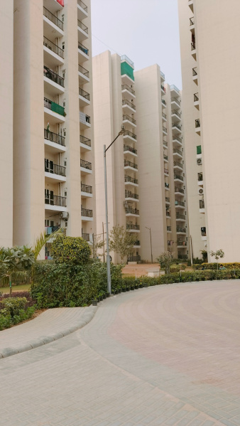 3 BHK Apartment 900 Sq.ft. for Sale in Sector 92 Gurgaon