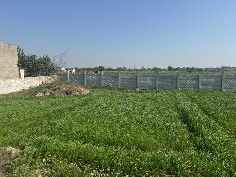  Residential Plot 100 Sq. Yards for Sale in Yamuna Expressway, Greater Noida