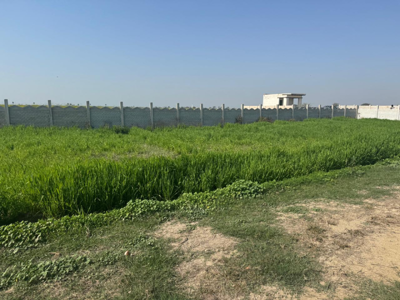  Residential Plot 100 Sq. Yards for Sale in Yamuna Expressway, Greater Noida