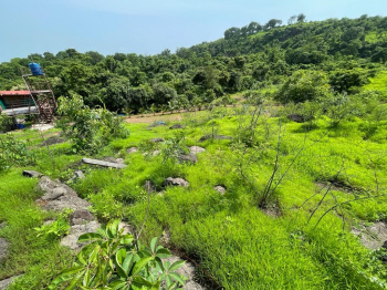  Agricultural Land for Sale in Chirner, Navi Mumbai