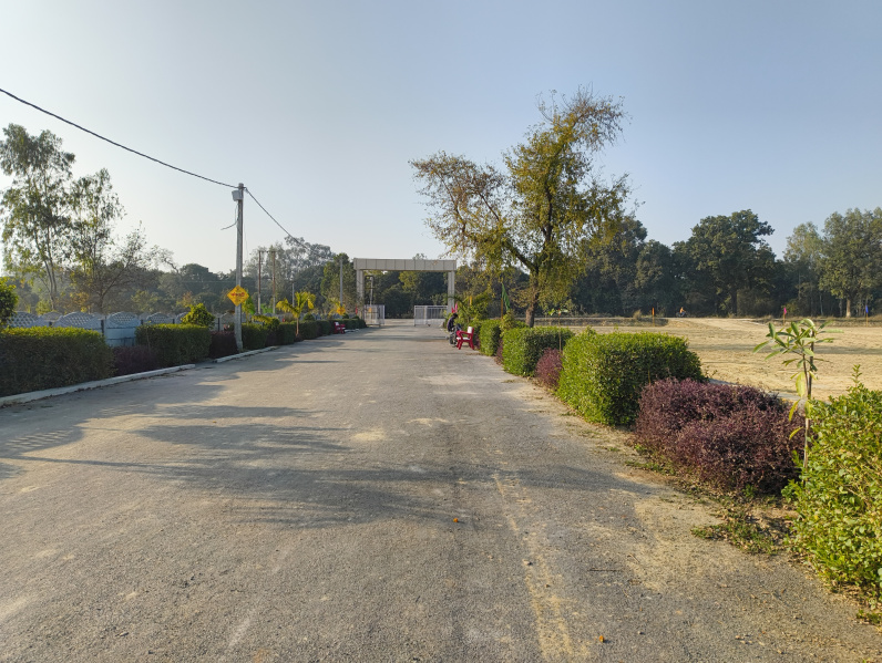  Residential Plot 1000 Sq.ft. for Sale in Sultanpur Road, Sultanpur Road, Lucknow