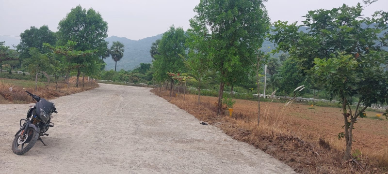  Residential Plot 200 Sq. Yards for Sale in Bhogapuram, Visakhapatnam