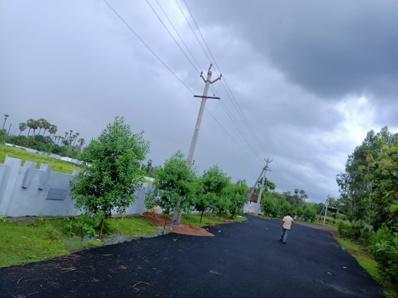  Residential Plot 200 Sq. Yards for Sale in Bhogapuram, Visakhapatnam