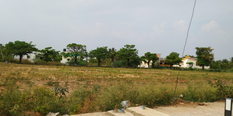 Tharamangalam, Salem photo 3