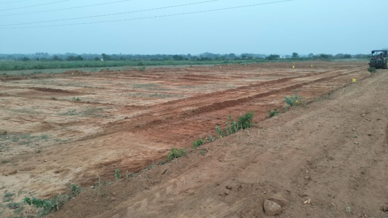  Residential Plot 1200 Sq.ft. for Sale in Aarchampatti, Tiruchirappalli