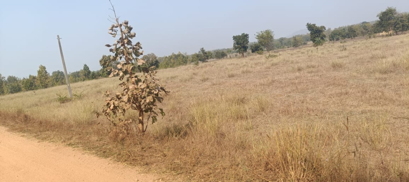  Residential Plot 3 Acre for Sale in Patnagarh, Balangir