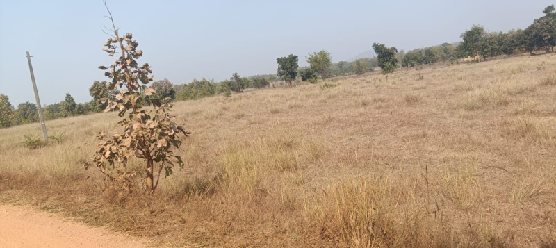  Residential Plot 3 Acre for Sale in Patnagarh, Balangir