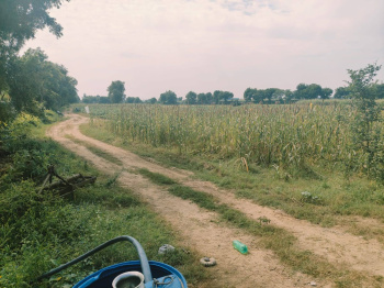  Agricultural Land for Sale in Chhata, Mathura