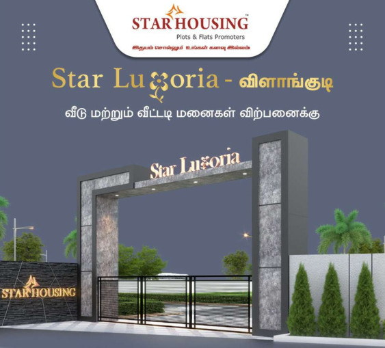  Residential Plot 1500 Sq.ft. for Sale in Vilangudi, Madurai