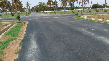  Commercial Land for Sale in Pydibhimavaram, Srikakulam