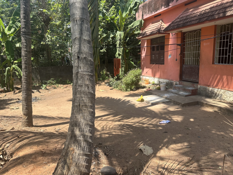  Residential Plot 3950 Sq.ft. for Sale in Thuckalay, Kanyakumari