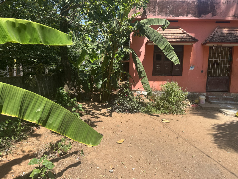  Residential Plot 3950 Sq.ft. for Sale in Thuckalay, Kanyakumari