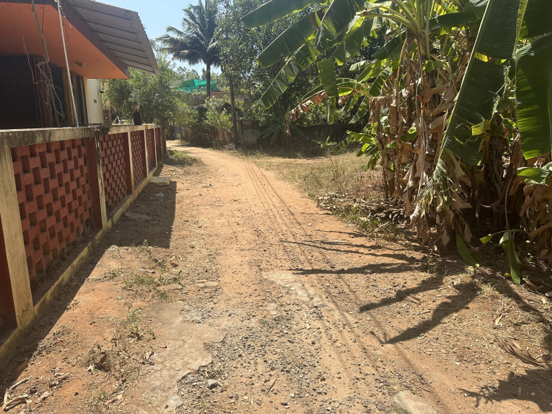  Residential Plot 3045 Sq.ft. for Sale in Thuckalay, Kanyakumari