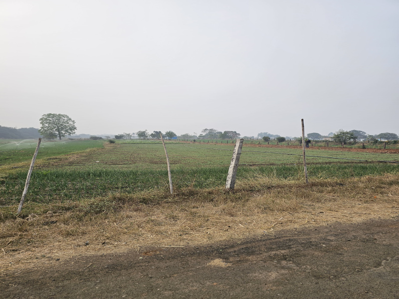 1 RK Farm House 28000 Sq.ft. for Sale in Awadhpuri, Bhopal