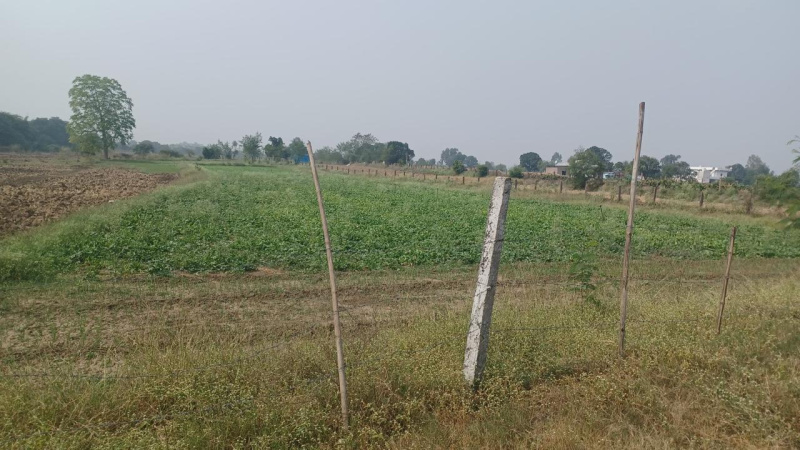 1 RK Farm House 28000 Sq.ft. for Sale in Awadhpuri, Bhopal