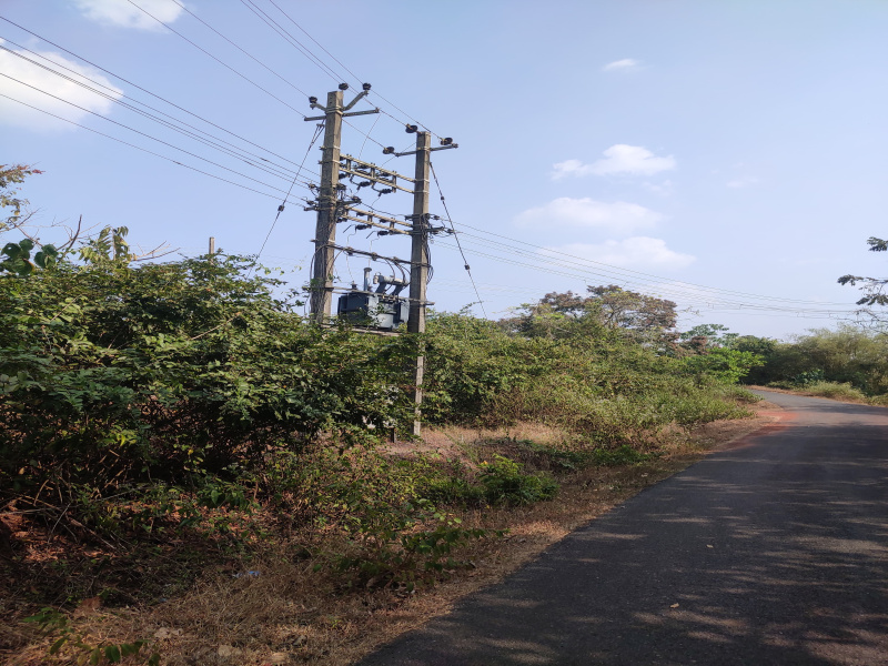  Residential Plot 269098 Sq.ft. for Sale in Pernem, Goa