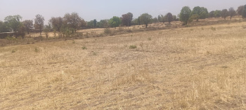  Agricultural Land for Sale in Pali, Lalitpur