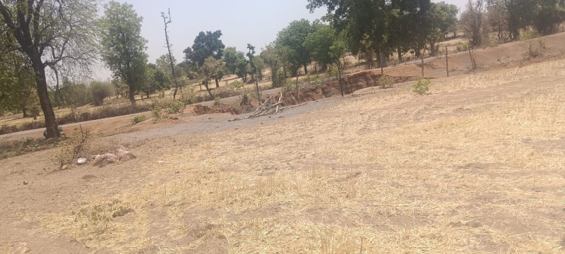  Agricultural Land 60 Acre for Sale in Pali, Lalitpur
