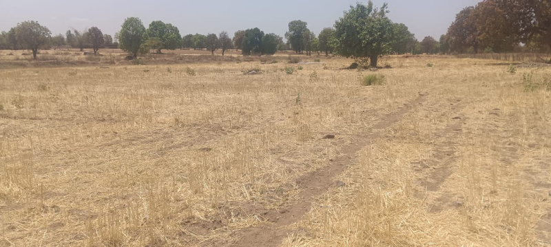  Agricultural Land 60 Acre for Sale in Pali, Lalitpur
