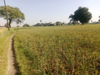  Agricultural Land for Sale in Badnawar, Dhar