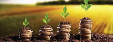  Residential Plot 1600 Sq.ft. for Sale in Daruthenga, Bhubaneswar