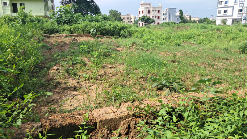  Residential Plot 1600 Sq.ft. for Sale in Daruthenga, Bhubaneswar