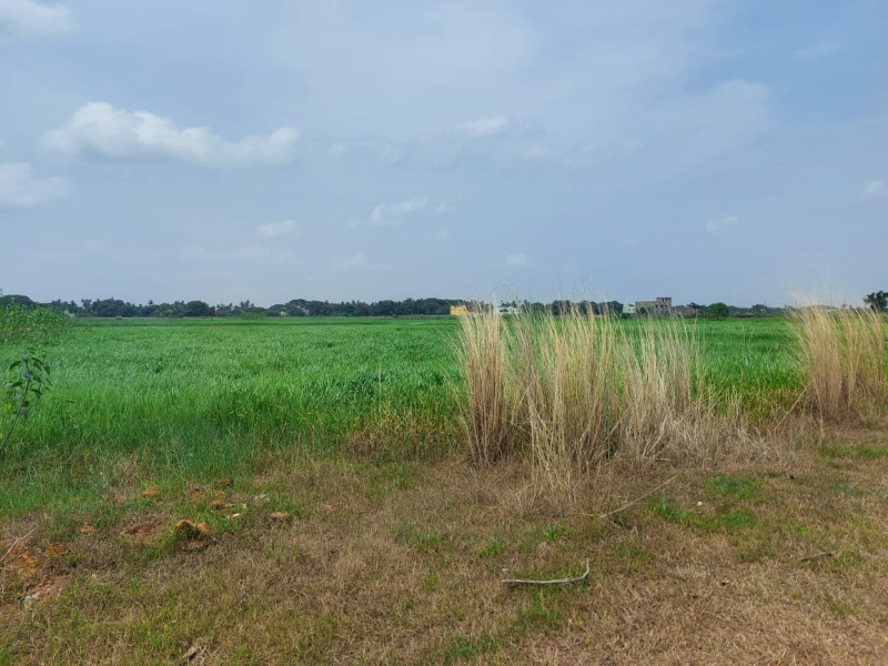  Residential Plot 1600 Sq.ft. for Sale in New Railway Station, Bhubaneswar